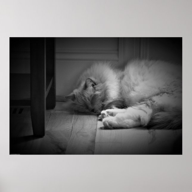 Póster Días lentos, (Frente)