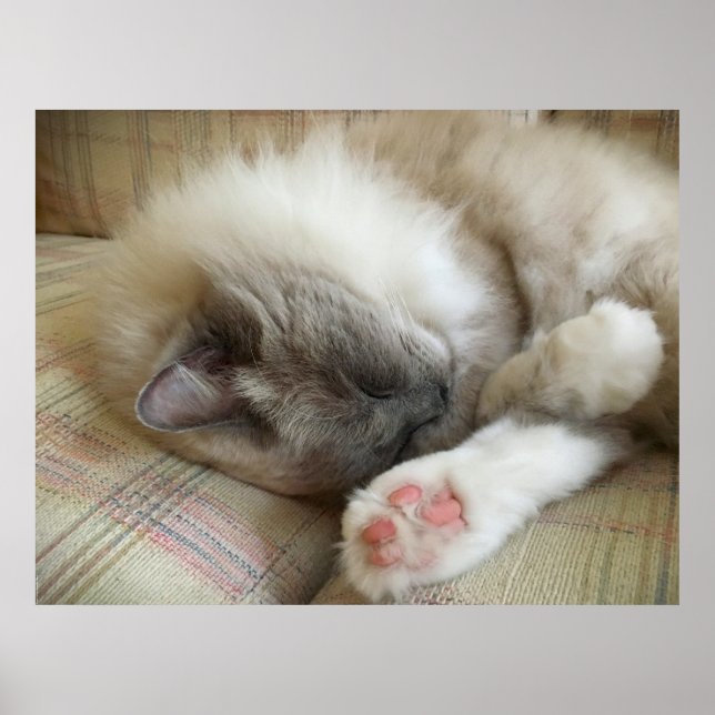 Póster Días lentos, (Frente)