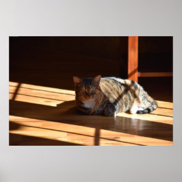 Póster Días lentos,