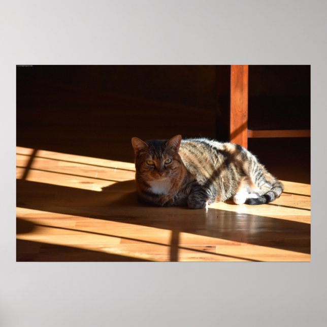 Póster Días lentos, (Frente)