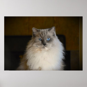 Póster Días lentos,