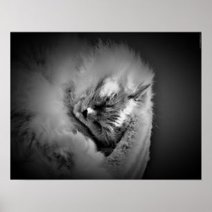 Póster Días lentos,