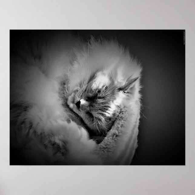 Póster Días lentos, (Frente)