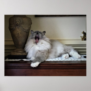 Póster Días lentos,