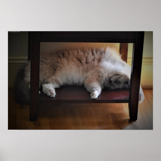 Póster Días lentos, (Frente)