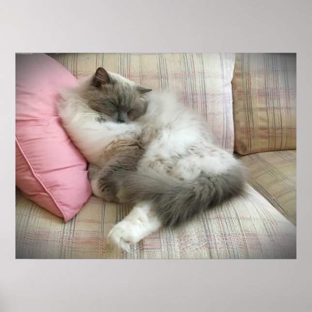 Póster Días lentos, (Frente)