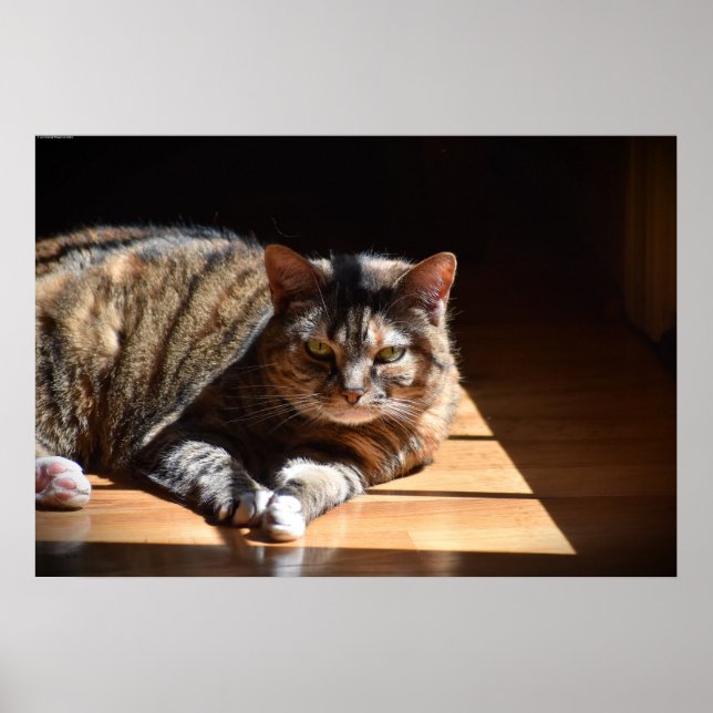 Póster Días lentos, (Frente)