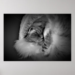 Póster Días lentos,