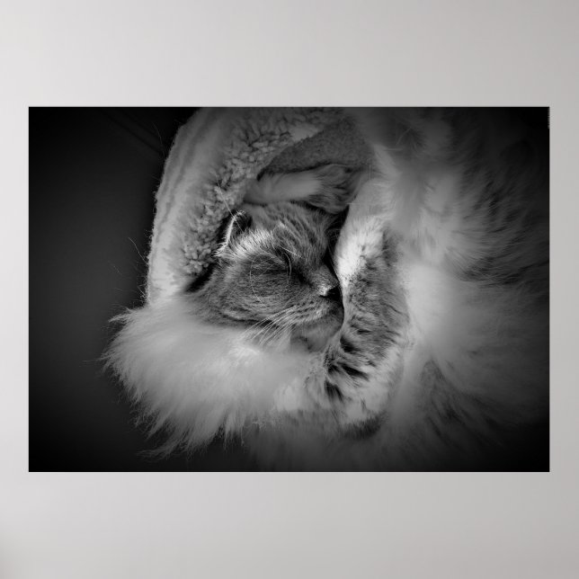 Póster Días lentos, (Frente)