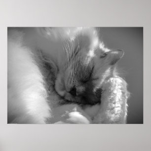 Póster Días lentos,