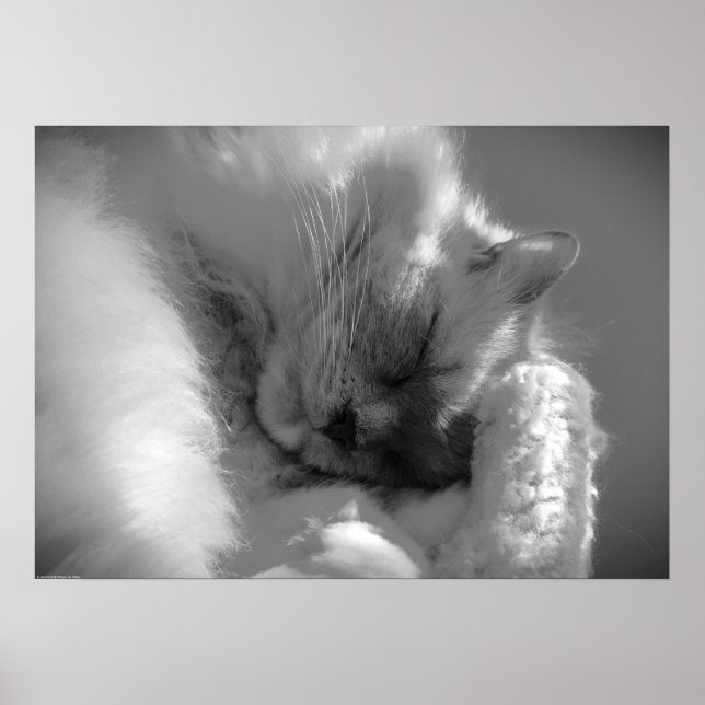 Póster Días lentos, (Frente)