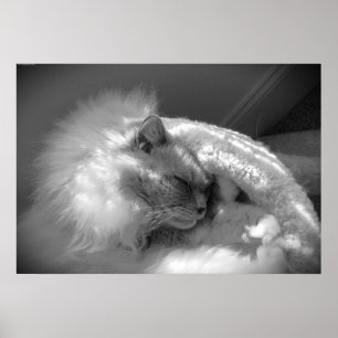 Póster Días lentos,