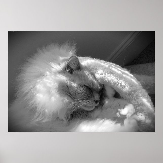 Póster Días lentos, (Frente)