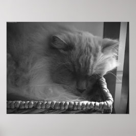 Póster Días lentos,