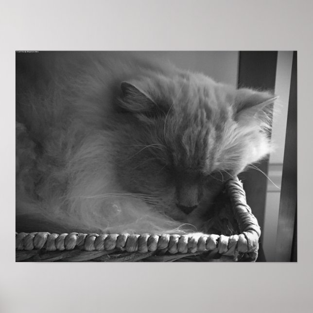 Póster Días lentos, (Frente)