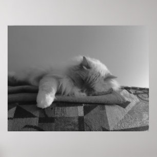 Póster Días lentos,