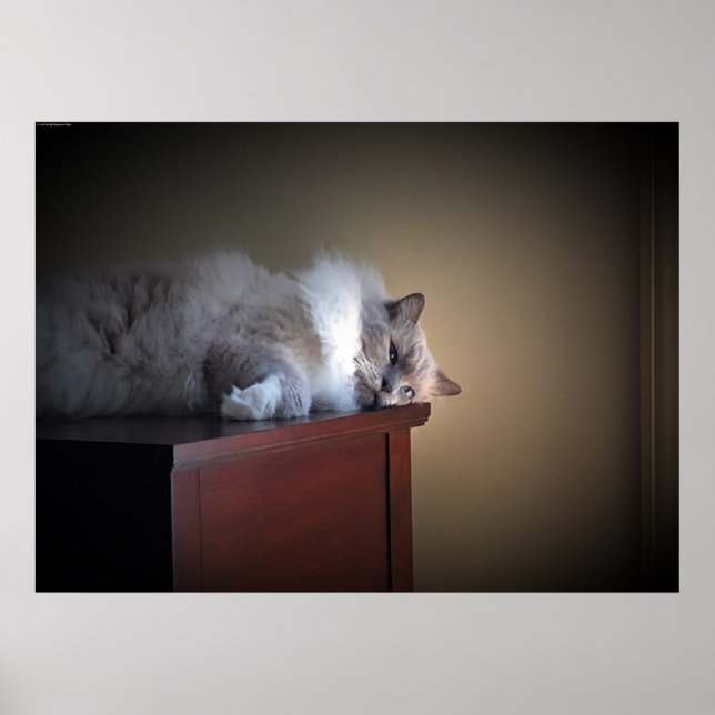 Póster Días lentos, (Frente)