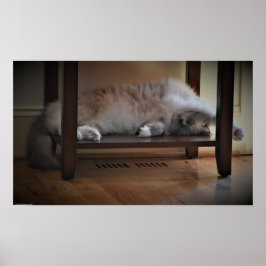 Póster Días lentos,