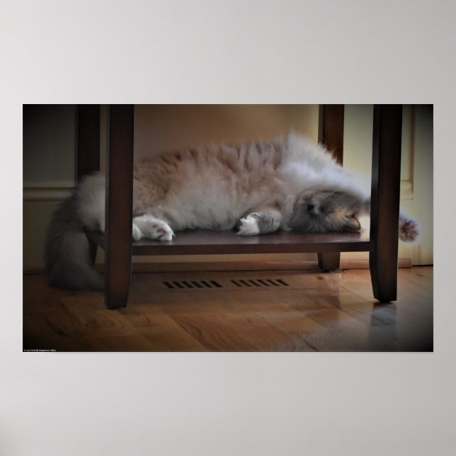 Póster Días lentos, (Frente)