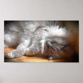 Póster Días lentos,