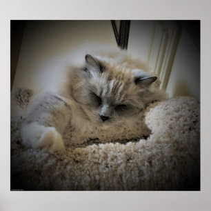 Póster Días lentos,