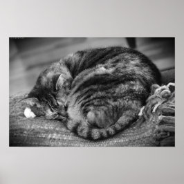 Póster Días lentos,