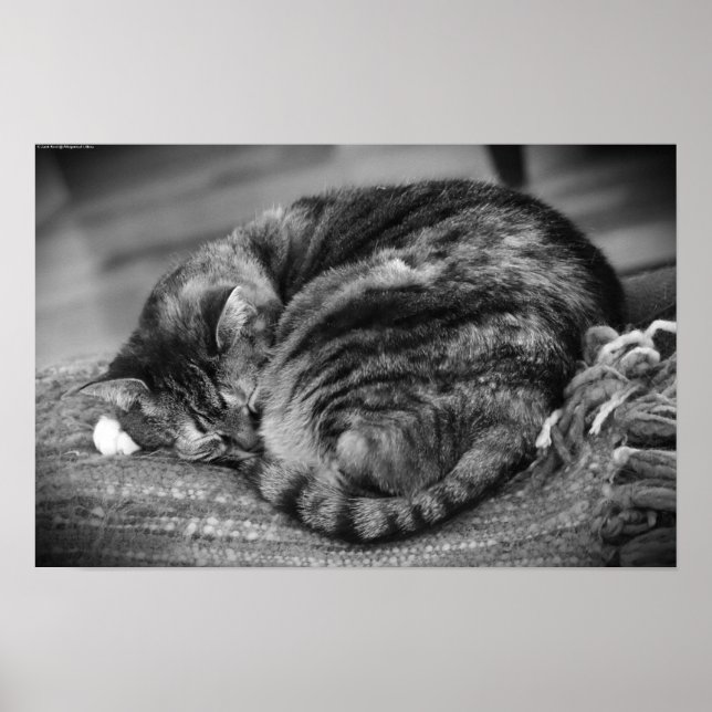 Póster Días lentos, (Frente)