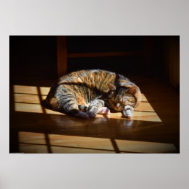 Póster Días lentos,