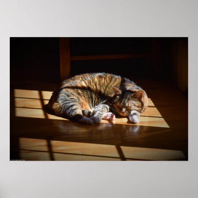 Póster Días lentos, (Frente)