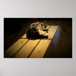 Póster Días lentos,