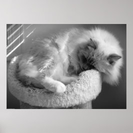 Póster Días lentos,