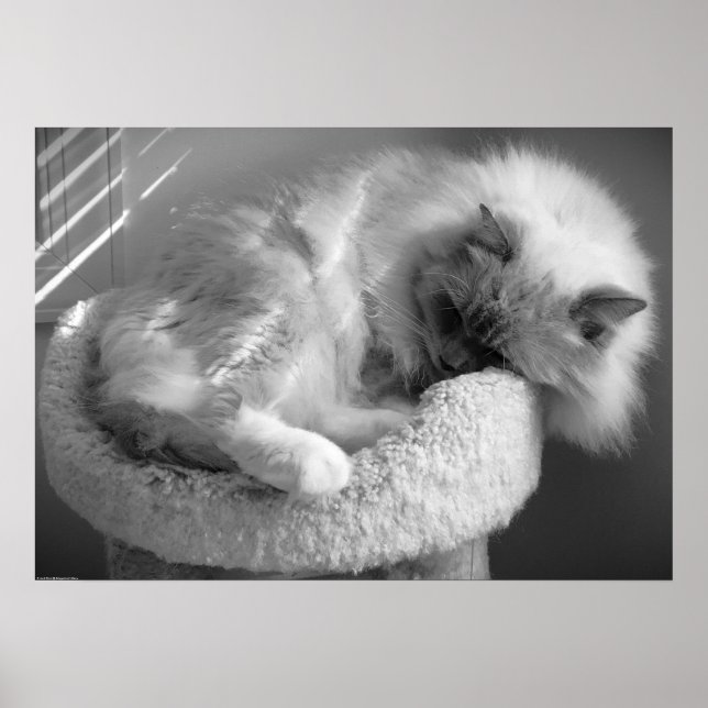 Póster Días lentos, (Frente)