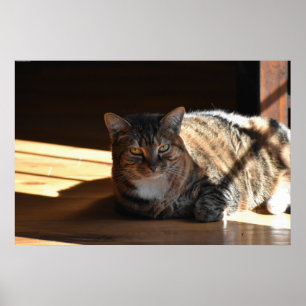 Póster Días lentos,