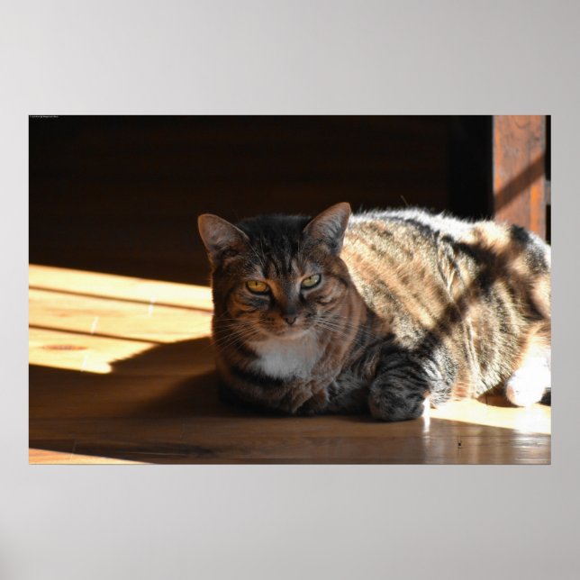 Póster Días lentos, (Frente)