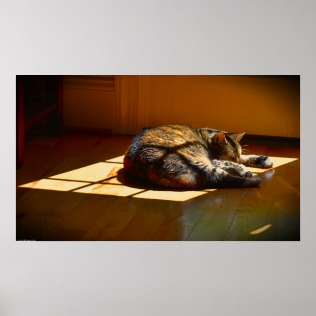 Póster Días lentos, (Frente)