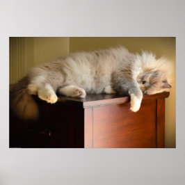 Póster Días lentos,