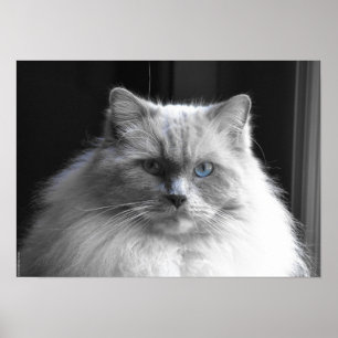 Póster Días lentos,