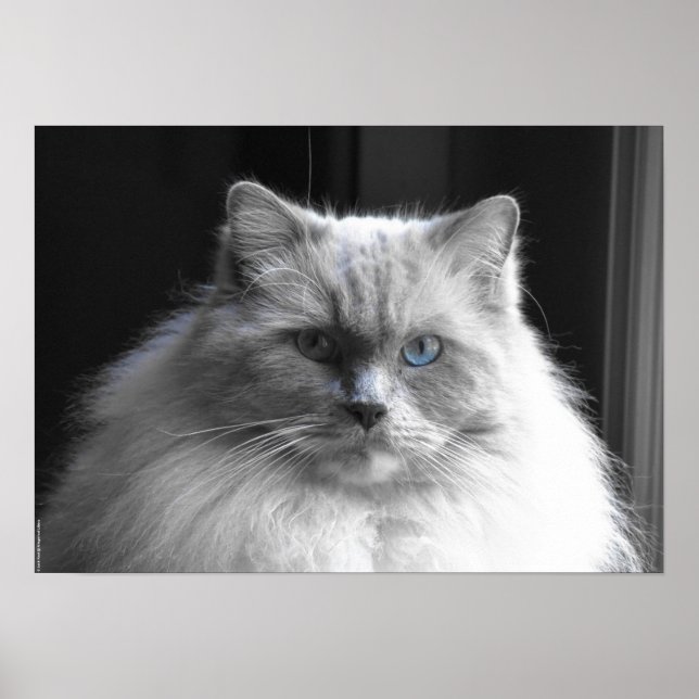 Póster Días lentos, (Frente)