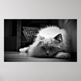 Póster Días lentos,