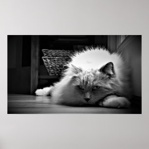 Póster Días lentos,