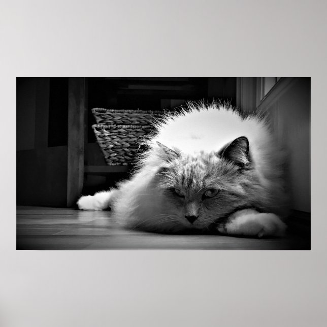 Póster Días lentos, (Frente)