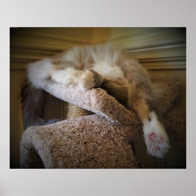 Póster Días lentos, (Frente)