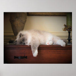 Póster Días lentos,