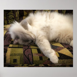 Póster Días lentos,