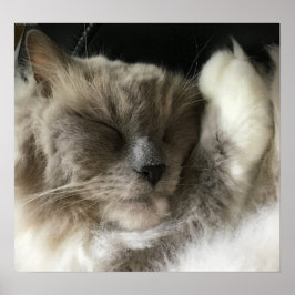 Póster Días lentos,