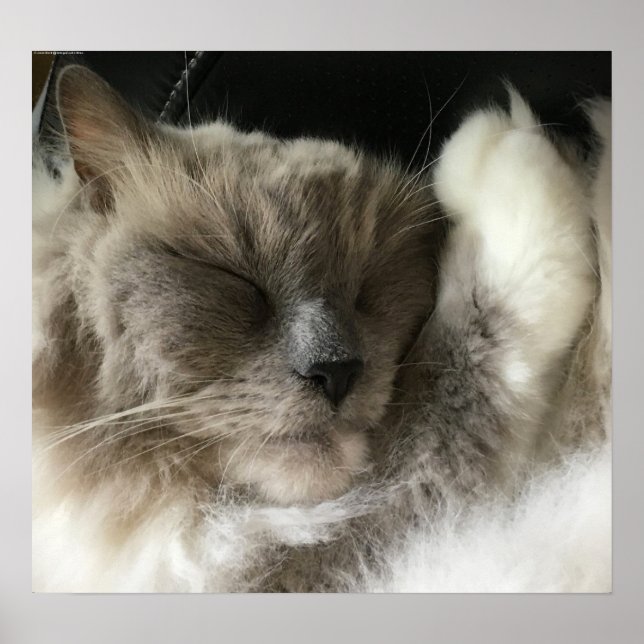 Póster Días lentos, (Frente)