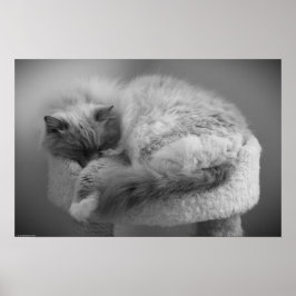 Póster Días lentos,