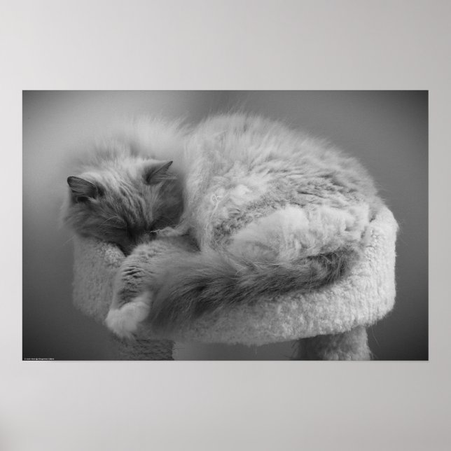 Póster Días lentos, (Frente)