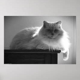 Póster Días lentos,