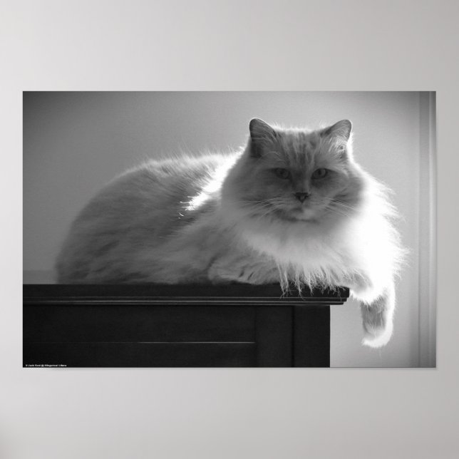 Póster Días lentos, (Frente)